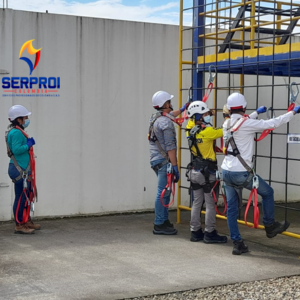 CURSO COORDINADOR DE TRABAJO EN ALTURAS (80 horas)